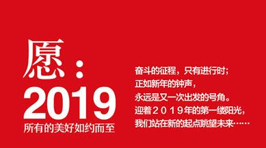愿2019，所有的美好如約而至！